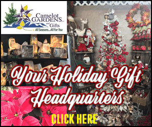 Newsletter Ad 4 - Camelot Gardens