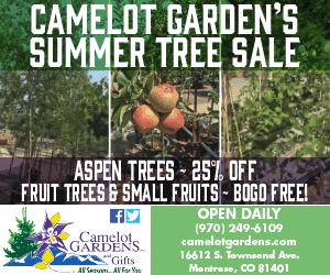 Newsletter Ad 4 - Camelot Gardens