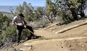 WRITERS ON THE RANGE: Mass firings cut the muscle, not the fat