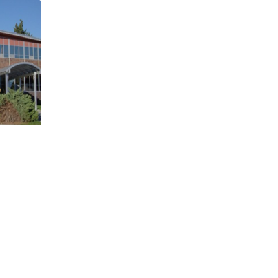 Asset-image