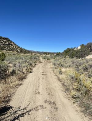 Dreaming of singletrack: Trails Alliance hopes to turn West End into mtb destination