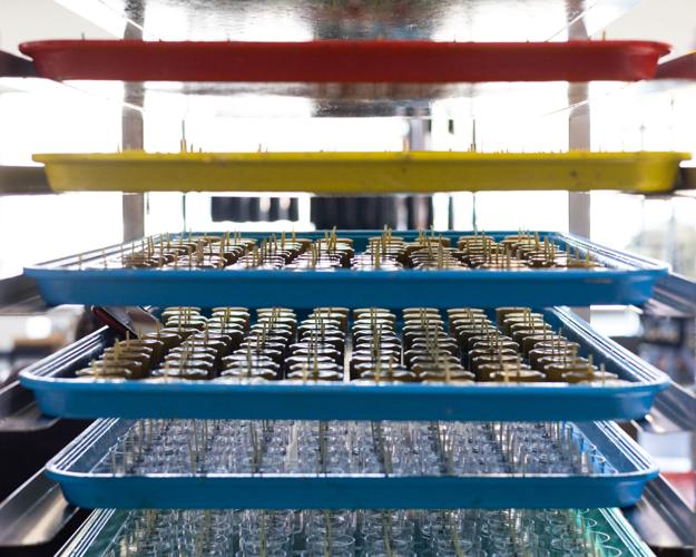 Candle business lights up in Montrose