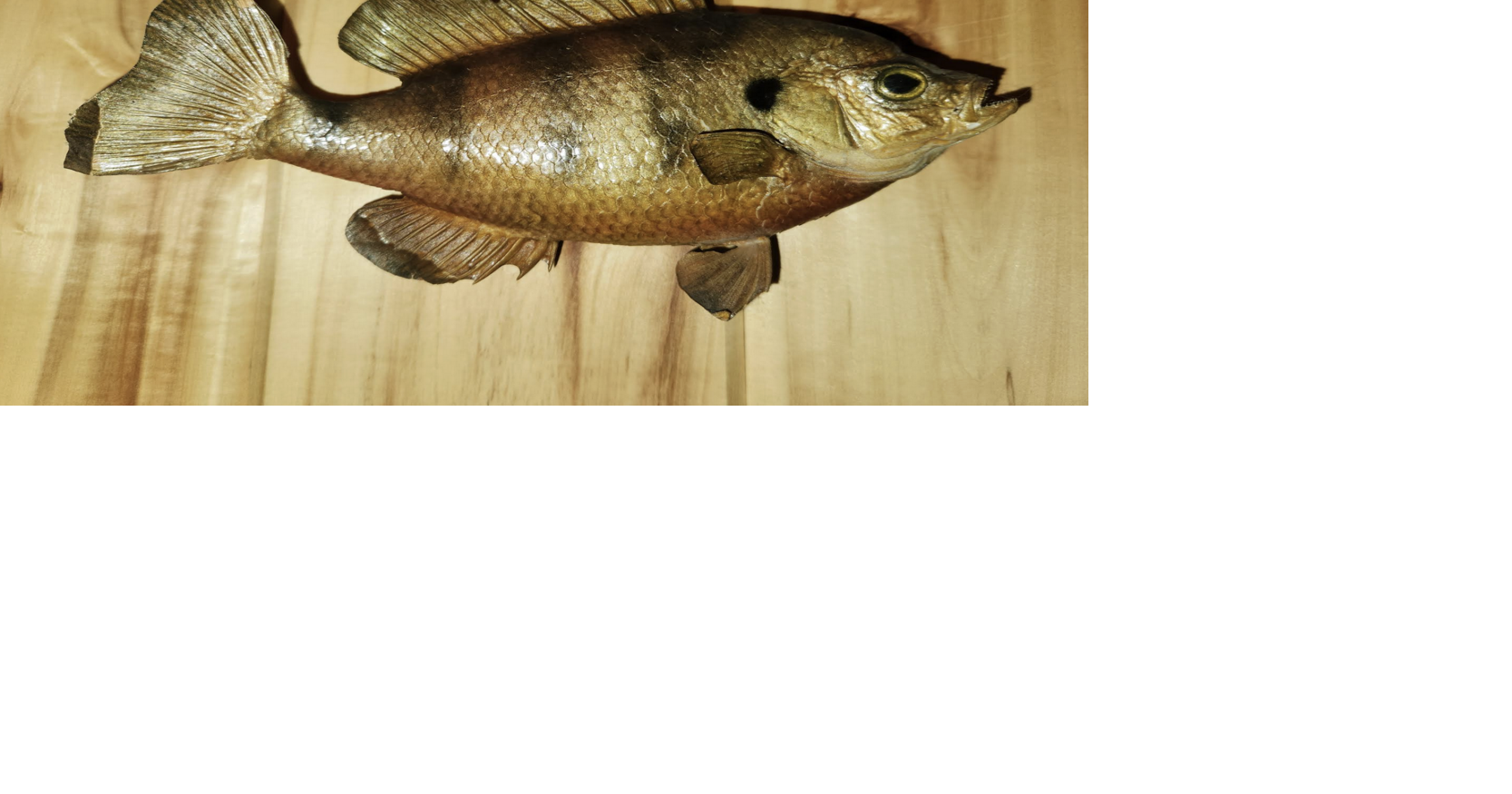 TIPS FROM THE POSSE: First fish
