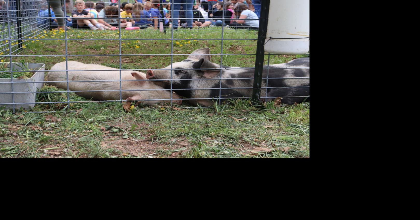 Hatching open minds Oak Grove officially opens farm for its students