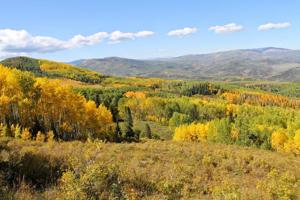 BLM to retool part of Uncompahgre Resource Management Plan under settlement; new leasing on hold