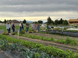 Where does our food come from? Just down the road: Free farm tour spotlights local agriculture