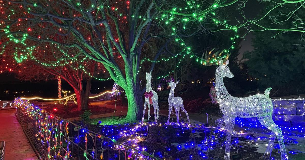 This way to the North Pole: Garden of Lights returns this weekend at ...