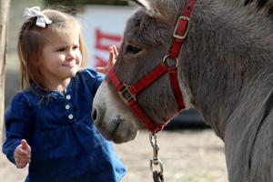 Fall family fun underway at Covered Bridge Ranch amid the coronavirus