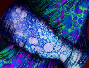 PTZArt: Art you can meditate to