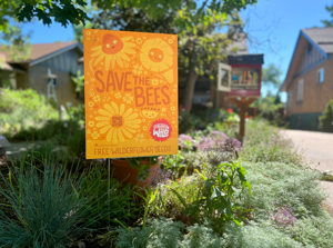 Statewide 'Wilderflower' campaign helps families help pollinators