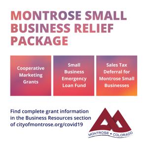 City council passes Small Business Administration Loan Fund