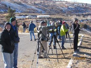 The state of the birds: Annual counts provide vital information