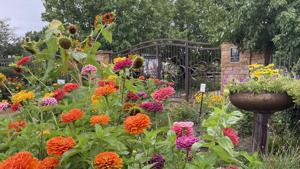 Happy birthday Botanic Gardens: Montrose Botanical Society celebrates 30th anniversary with party Saturday