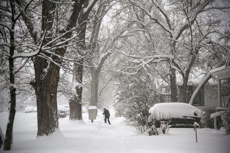 Mother Nature sends Montrose a snowy valentine; schools, county offices closed as storm pummels