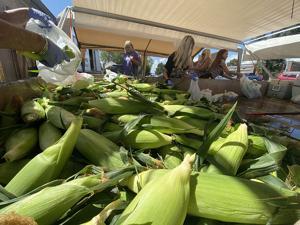 They like it fresh: Produce stands dish out corn, peaches and more
