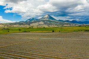 Selenium reduction efforts hit benchmark on Lower Gunnison