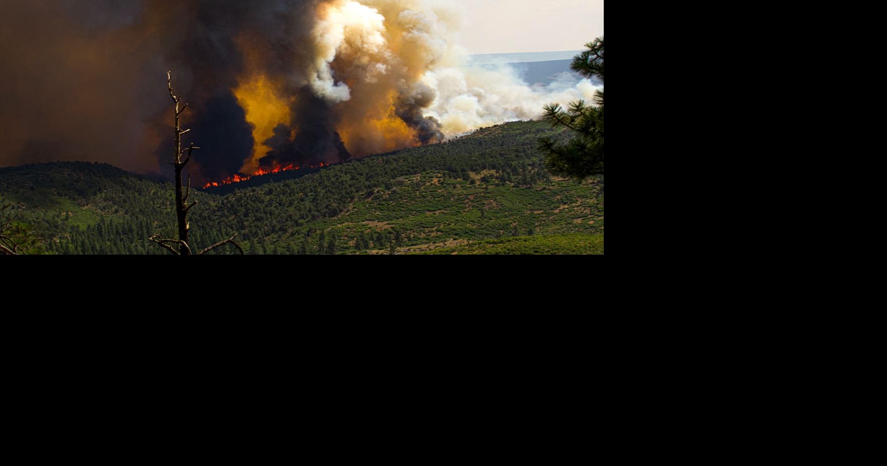 Bucktail Fire update: 10% containment; acreage at 4,206 Aug. 8 | Local ...