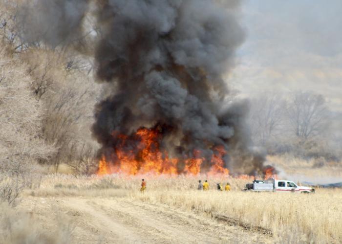 County enacts burn ban, citing need for resources and public health concerns