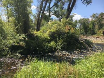 Wetlands conserved in Smith Fork Valley