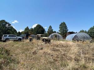 Colorado Bureau of Investigation seizes multiple pounds of pot plants in Montrose and San Miguel counties raids