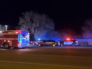 Pedestrian and dog struck and killed on Townsend Avenue