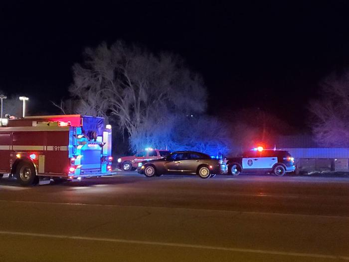 Pedestrian and dog struck and killed on Townsend Avenue