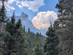 Progress seen on Gold Mountain, Elk fires
