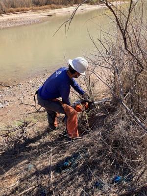 Grant-funded effort will remove invasive species from along the Uncompahgre