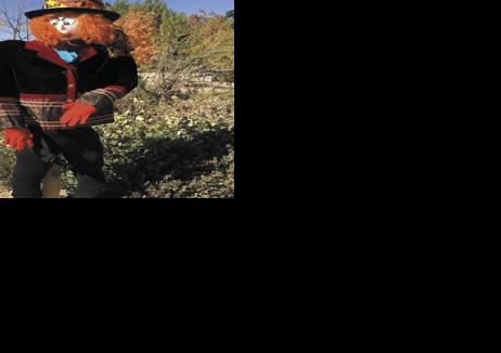 Scarecrow Festival returns this weekend