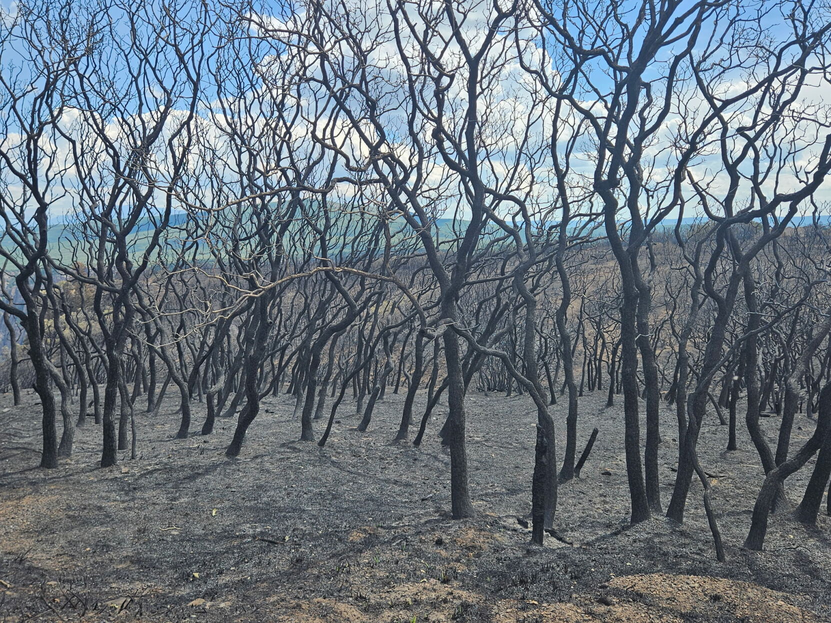 More images from the South Rim Fire: Photos of Black Canyon national ...