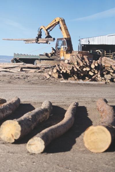 Timber mill operating again, but short-term future uncertain