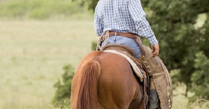 Wolf Range Riders Colorado Range Rider program hosts training on non-lethal wolf ...