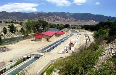 Hatcheries hook benefits despite challenges | Local News Stories ... Hatcheries hook benefits despite challenges | Local News Stories ...