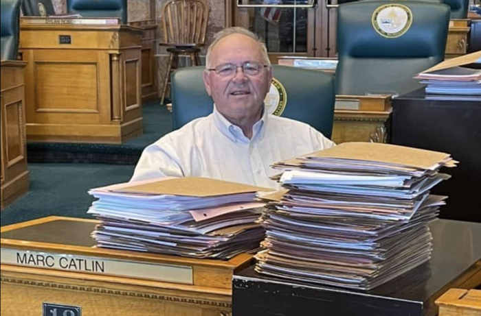 Catlin in running for state Senate