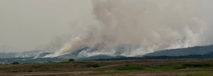 Gold Mountain Fire grows to more than 33,000 acres, at 7% containment; Elk Fire reported in GMUG