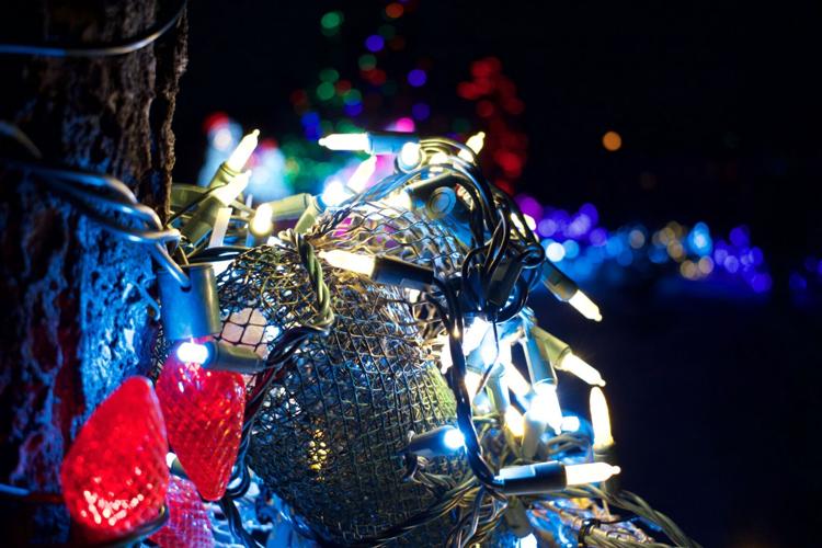 Photo Gallery: Garden of Lights at the Montrose Botanical Gardens ...