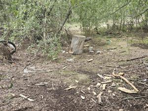 City camping ban in the works