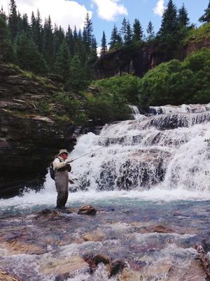 OUTDOORS: Of waterfalls and brook trout