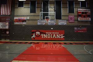 How Montrose will pick new mascots: district unveils process, end date