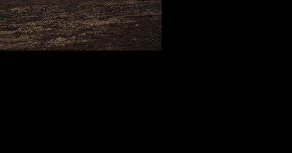 The Colorado Professional Rodeo Association State Finals kick off this ...