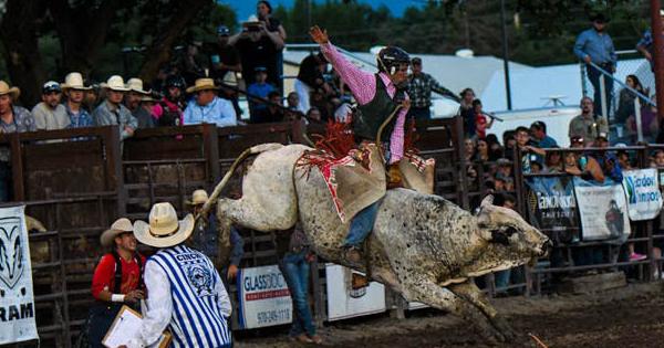 The Colorado Professional Rodeo Association State Finals kick off this ...