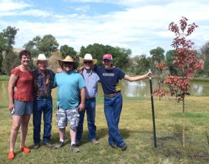 Nonprofit plants seeds of honor for Montrose heroes; 7 veterans' memories honored