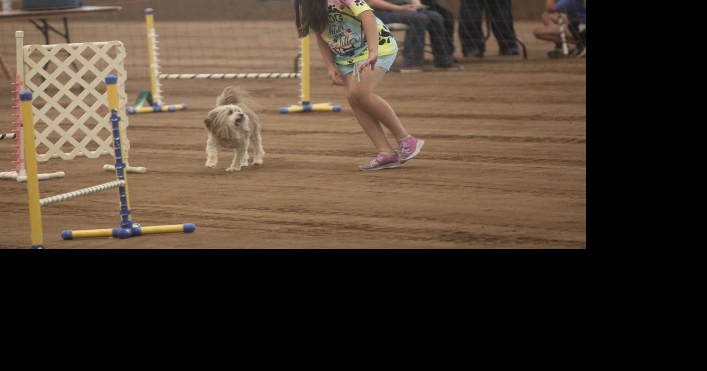 Montrose County Fair and Rodeo 2024: Dog Show | News | montrosepress.com