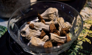 The big trip — Colorado embraces psychedelic medicine in hopes of mental health strides