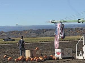 Pumpkin Chunkin offers a fun return while remembering beloved community member