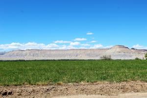 Colorado the Beautiful: Mesa County landscapes