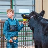 Junior livestock auction shows community investment