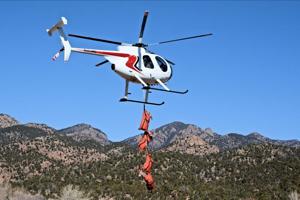 Two years of preparation pays off in historic bighorn sheep herd restoration