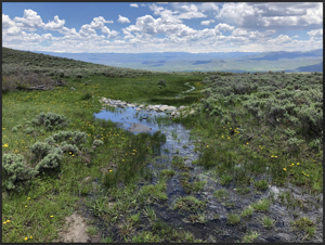 Bringing water to the desert — Western alumnus helps restore critical wet meadows in the Gunnison Basin