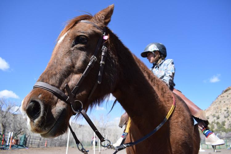 For City in Kansas horses sex Adaptive Riding